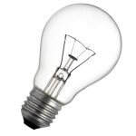 ampoule-7.jpg