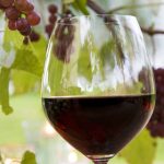 vinprimeur-4.jpg